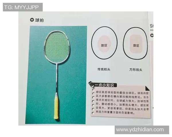 上海羽毛球队的深度解析与控制策略探秘
